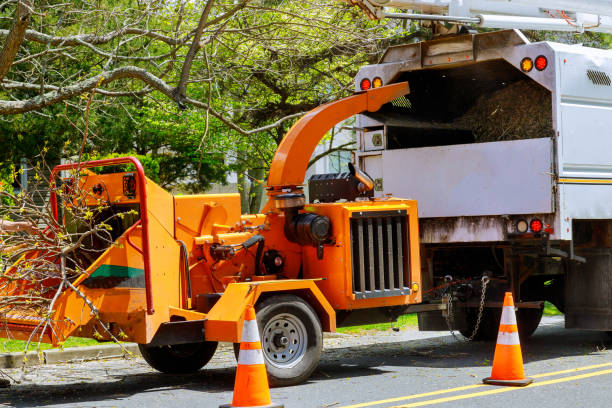 Best Emergency Tree Service  in Livonia, MI